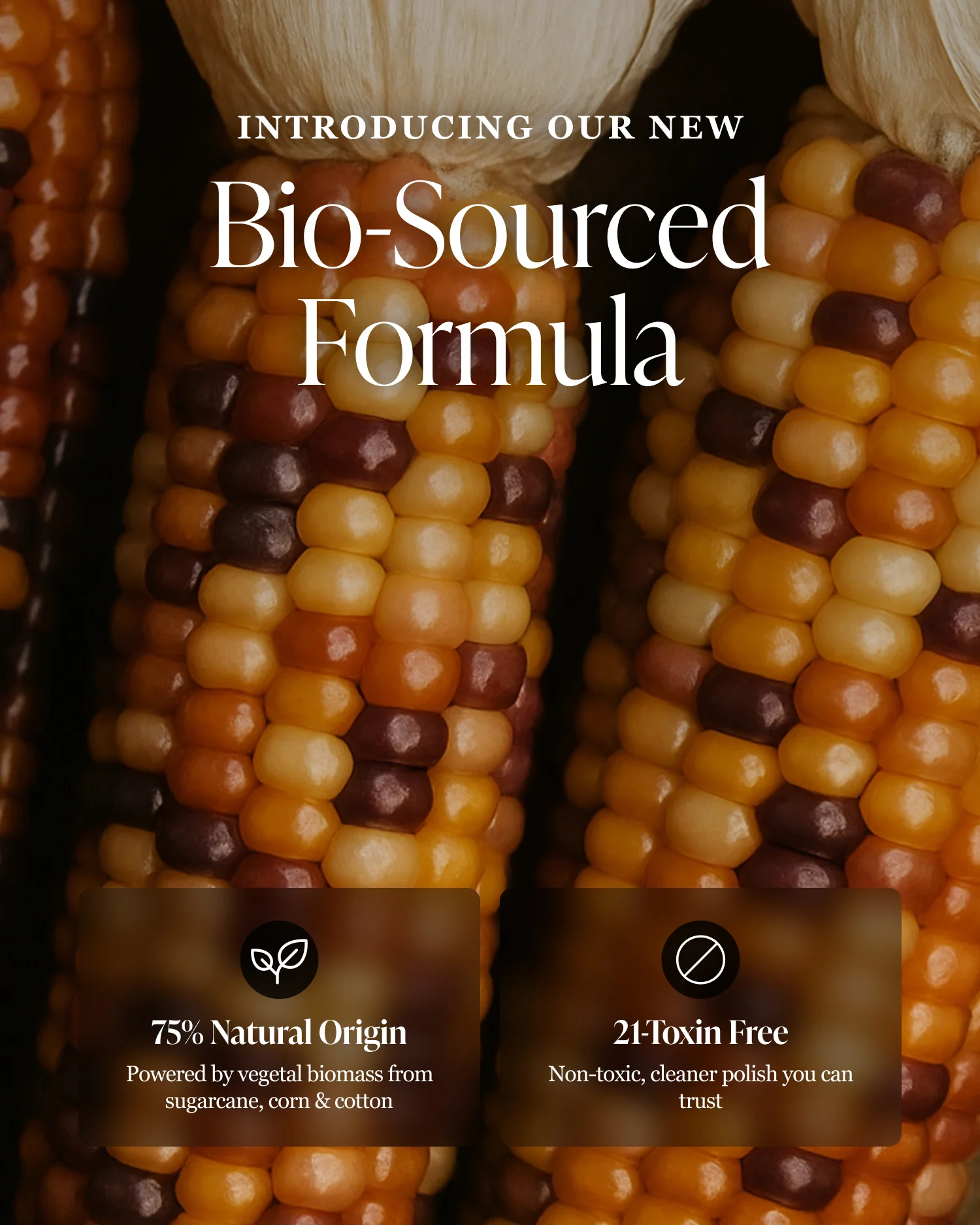 Cherry Chérie - Image 4